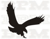 /album/fotogaleria-celtic/celtic-14-jpg/